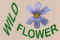 Wildflower Index