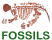 Fossil Index