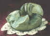 Ammonitida Eutrephoceras  Dekai (Herbert).jpg (63942 bytes)